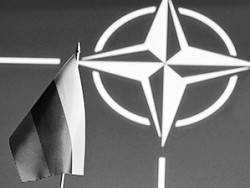 Майкл Макфол - Макфол назвал способы уничтожения НАТО Россией - newsland.com - Москва - Россия - США - Эстония - Таллин