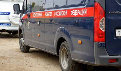 Уголовное дело о халатности возбудили после убийства двух школьниц в Кузбассе - newizv.ru - Россия