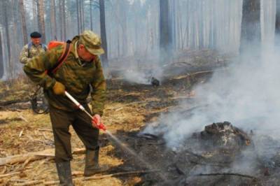 В Хабаровском крае горит три лесных пожара - hab.aif.ru - Хабаровский край - Комсомольск - Николаевск