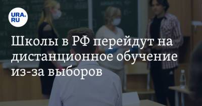 Элла Памфилова - Школы в РФ перейдут на дистанционное обучение из-за выборов - ura.news - Россия