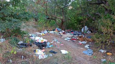 В Воронеже Яблоневый сад вновь превратили в свалку после уборки волонтёров - vestivrn.ru - Воронеж