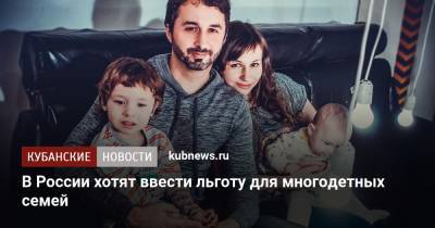 Ирина Волынец - Виталий Савельев - В России хотят ввести льготу для многодетных семей - kubnews.ru - Россия - респ. Татарстан