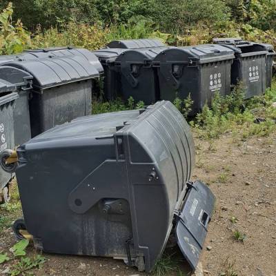 Полсотни контейнеров для мусора обнаружил южносахалинец на окраине города - sakhalin.info