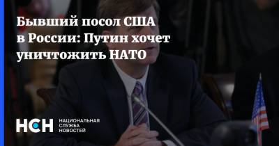 Владимир Путин - Майкл Макфол - Бывший посол США в России: Путин хочет уничтожить НАТО - nsn.fm - Москва - Россия - Китай - США - Эстония