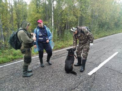В Коми продолжаются поиски пенсионеров в Прилузье и Троицко-Печорске - komiinform.ru - респ. Коми - Печорск