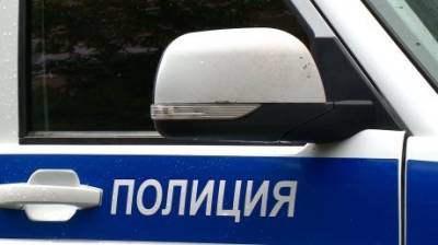 Светлана Артамонова - Житель Пензы заплатит штраф за призыв к вражде с полицией - penzainform.ru - Пенза - район Железнодорожный