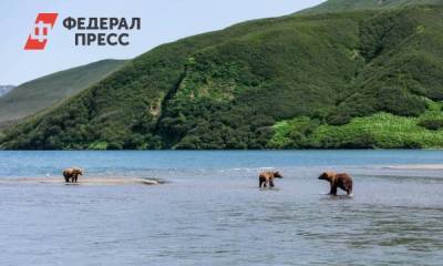 На Курильское озеро после авиакатастрофы снова пускают туристов - fedpress.ru - Петропавловск-Камчатский