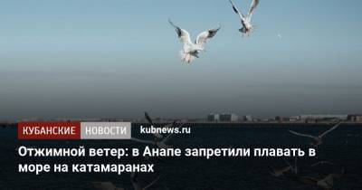 Отжимной ветер: в Анапе запретили плавать в море на катамаранах - kubnews.ru - Анапа - Краснодарский край - Черное Море