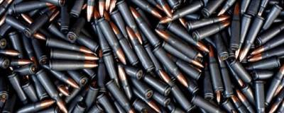 У новосибирца в квартире нашли арсенал оружия и боеприпасов - runews24.ru - Россия - Новосибирск