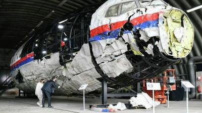 Александр Солженицын - МН17: родственники погибших выступили в суде и показали фото с борта, сделанное за полчаса до взлета - sharij.net - Австралия - Канада - Голландия - Малайзия - Индонезия - Донецкая обл.