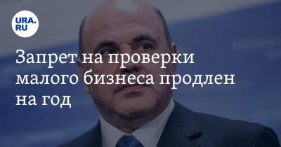 Михаил Мишустин - Запрет на проверки малого бизнеса продлен на год - ura.news - Россия