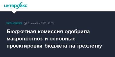 Михаил Мишустин - Бюджетная комиссия одобрила макропрогноз и основные проектировки бюджета на трехлетку - interfax.ru - Москва - Россия