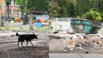 Воронежцы пожаловались на «утопающие» в мусоре дворы - vestivrn.ru - Воронеж