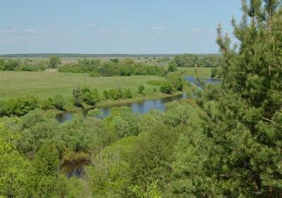 На расчистку реки Солотчи в Рязани выделили более 115,7 млн рублей - ya62.ru - Рязань