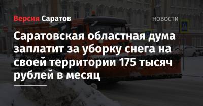 Саратовская областная дума заплатит за уборку снега на своей территории 175 тысяч рублей в месяц - nversia.ru - Саратов
