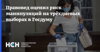 Правовед оценил риск манипуляций на трёхдневых выборах в Госдуму - nsn.fm
