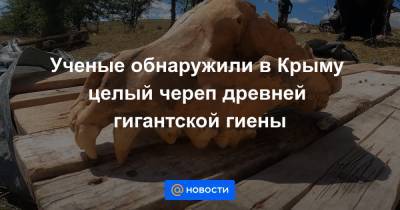Ученые обнаружили в Крыму целый череп древней гигантской гиены - news.mail.ru - Россия - Китай - Крым - Уральск - Экология
