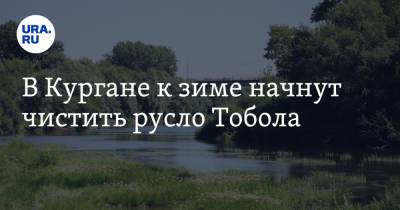 Вадим Шумков - В Кургане к зиме начнут чистить русло Тобола - ura.news - Курганская обл.