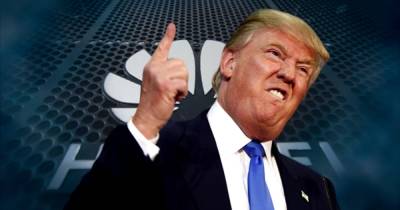 Дональд Трамп - Трамп будет комментировать бой между экс-чемпионами UFC Холифилдом и Белфортом - dsnews.ua - США - Украина - шт.Флорида