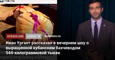 Иван Ургант - Иван Ургант рассказал в вечернем шоу о выращенной кубанским бахчеводом 544-килограммовой тыкве - kubnews.ru - Россия - Краснодарский край - Ставрополье