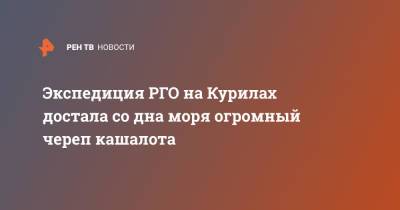 Экспедиция РГО на Курилах достала со дна моря огромный череп кашалота - ren.tv - Россия