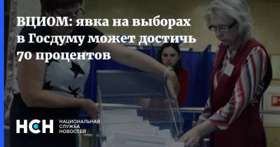 ВЦИОМ: явка на выборах в Госдуму может достичь 70 процентов - nsn.fm - Россия