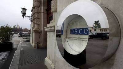Валентина Матвиенко - В ОБСЕ надеются, что смогут направить наблюдателей на следующие выборы в Россию - russian.rt.com - Россия