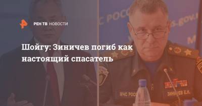 Сергей Шойгу - Евгений Зиничев - Шойгу: Зиничев погиб как настоящий спасатель - ren.tv - Россия