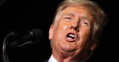 Дональд Трамп - Трамп будет комментировать боксерский поединок Холифилда и Белфорта в Голливуде - focus.ua - США - Украина - шт.Флорида