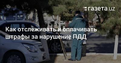 Как отслеживать и оплачивать штрафы за нарушение ПДД - gazeta.uz - Узбекистан