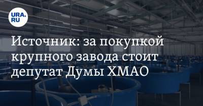 Источник: за покупкой крупного завода стоит депутат Думы ХМАО - ura.news - Екатеринбург - Югра