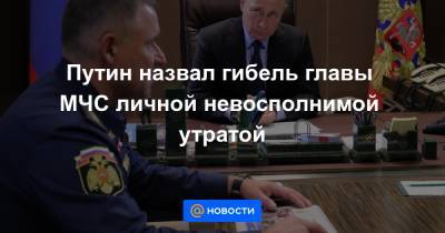 Путин назвал гибель главы МЧС личной невосполнимой утратой - news.mail.ru - Норильск
