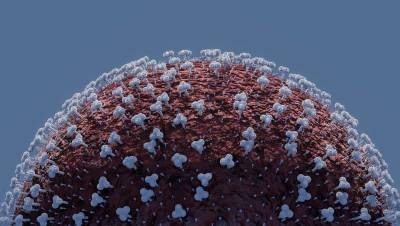 Ученые выяснили, кто может обладать супериммунитетом от коронавируса и мира - cursorinfo.co.il