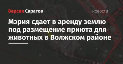 Мэрия сдает в аренду землю под размещение приюта для животных в Волжском районе - nversia.ru - Саратов - район Волжский