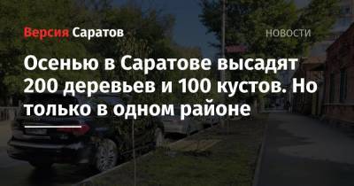 Осенью в Саратове высадят 200 деревьев и 100 кустов. Но только в одном районе - nversia.ru - Саратов - район Фрунзенский, Саратов