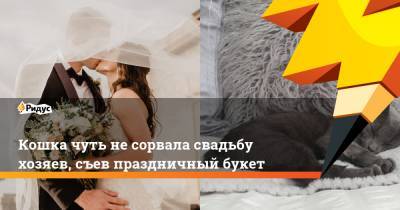 Кошка чуть не сорвала свадьбу хозяев, съев праздничный букет - ridus.ru - Англия