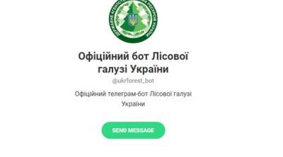 Украинцы могут пожаловаться на «черных» лесорубов и поджигателей в Telegram-бот - ru.slovoidilo.ua - Украина