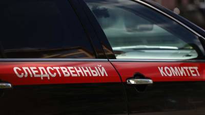 СК проверит данные о нападении мужчины на девочку в Воронеже - iz.ru - Израиль - Воронеж