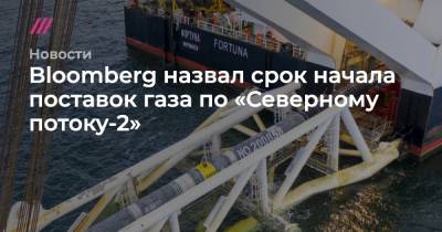Александр Новак - Игорь Сечин - Алексей Миллер - Bloomberg назвал срок начала поставок газа по «Северному потоку-2» - tvrain.ru - Россия