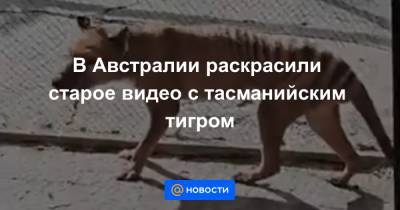 В Австралии раскрасили старое видео с тасманийским тигром - news.mail.ru - Австралия - Франция