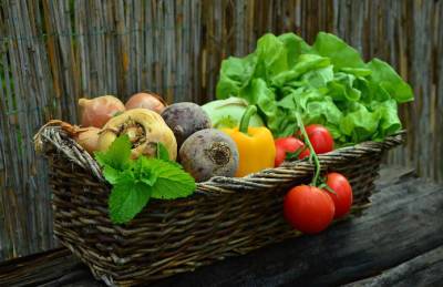 Производители снижают цены на овощи - agroportal.ua - Украина