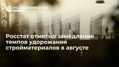 Росстат отметил замедление темпов удорожания стройматериалов в августе - realty.ria.ru - Москва - Россия
