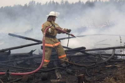 В Башкирии потушили все лесные пожары - mk.ru - Башкирия - район Баймакский
