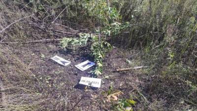 Российские оккупанты заминировали украинские территории запрещенными минами - rupor.info - Россия - Украина - населенный пункт Крымское