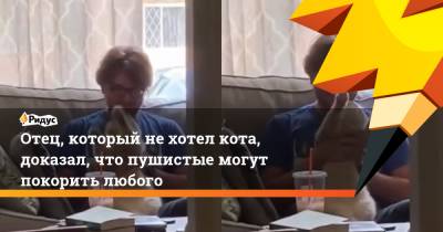 Отец, который не хотел кота, доказал, что пушистые могут покорить любого - ridus.ru