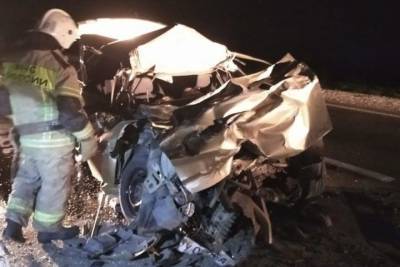 На Ставрополье в ДТП с грузовиком погибли два человека и пострадал ребенок - kavkaz.mk.ru - Минеральные Воды - Ставрополье