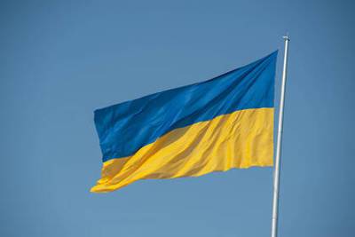 Алексей Арестович - Советник Зеленского назвал критиков переименования Украины «долбанными селюками» - lenta.ru - Украина - Русь