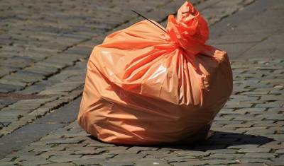 Пластиковые пакеты оказались экологичнее бумажных - mirnov.ru - Экология
