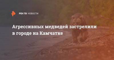 Агрессивных медведей застрелили в городе на Камчатке - ren.tv - Камчатский край - Елизово