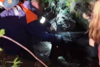 В ЕАО в глубокую яму провалилась корова Милка - hab.aif.ru - Россия - Еврейская обл. - Биробиджан